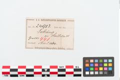 Etiketten zu Bronzebrillenfibel (NHMW-PRAE-024983)